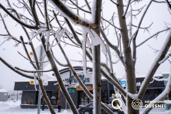 Snowy Days in December 2021